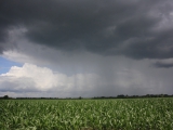 Regenval metingen met behulp van GSM-masten